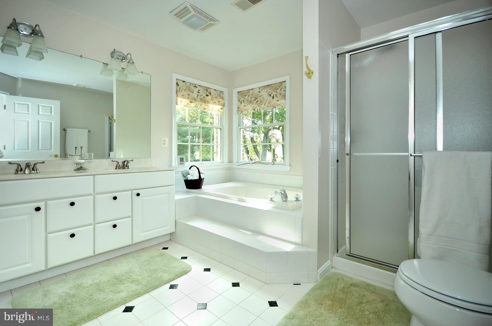 12103 Glenbauer Road Kingsville, MD 21087 - Photo 20 of 30 Bath (Master)