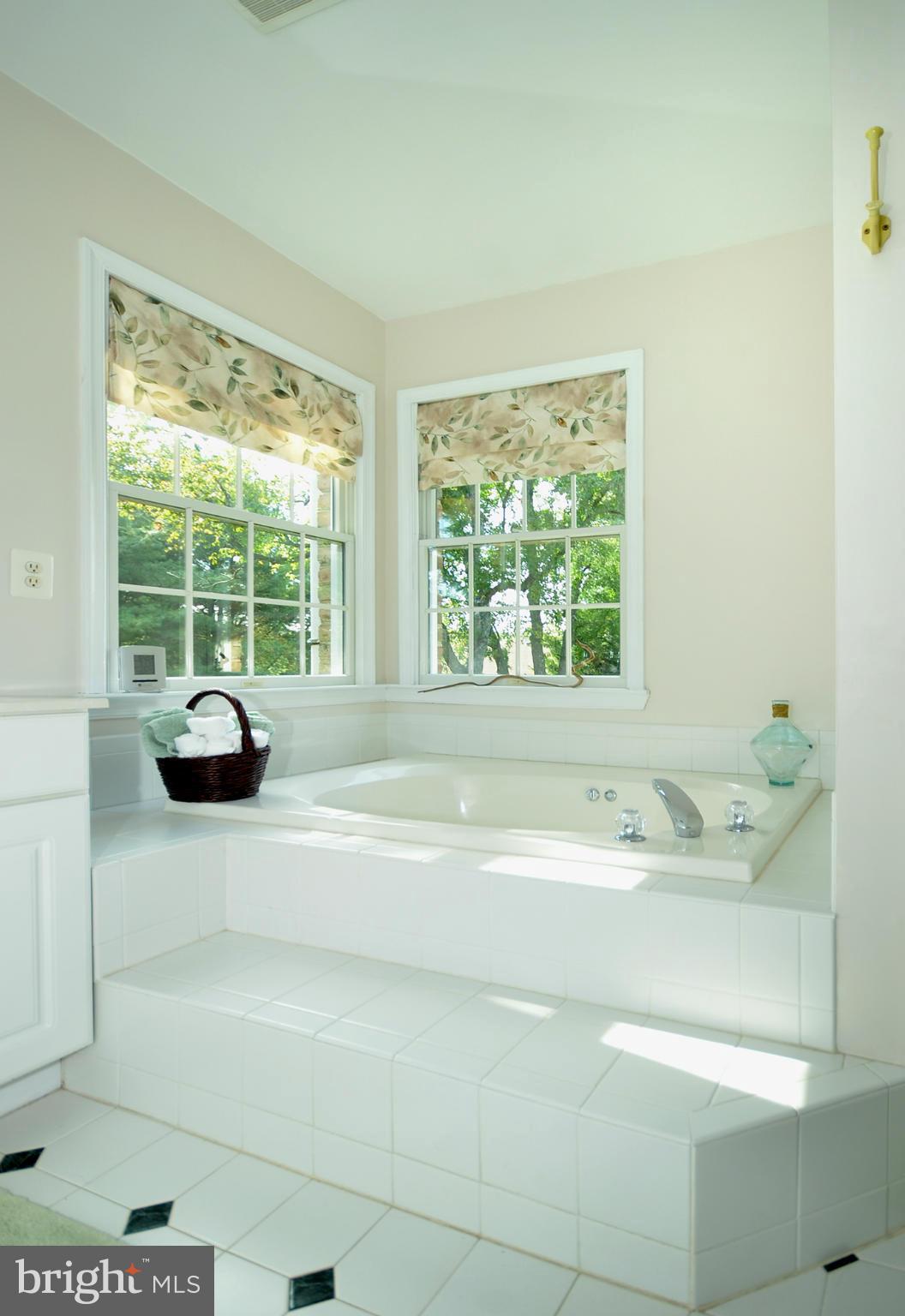 12103 Glenbauer Road Kingsville, MD 21087 - Photo 21 of 30 Bath (Master)
