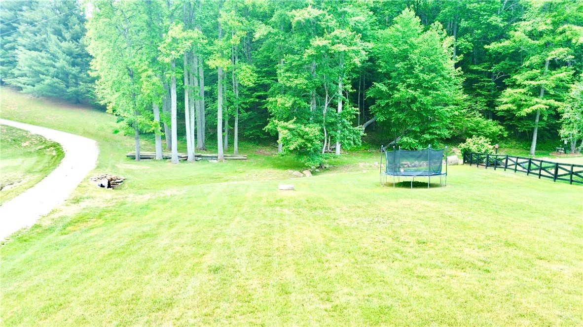 1315 Irwin Grocery Road Laurel Springs, NC 28644 - Photo 19 of 22 a backyard of a house with plants and large trees