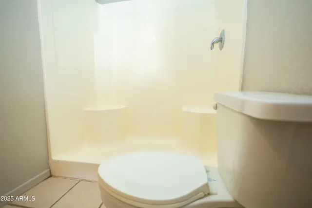 a bathroom with a toilet and a rug