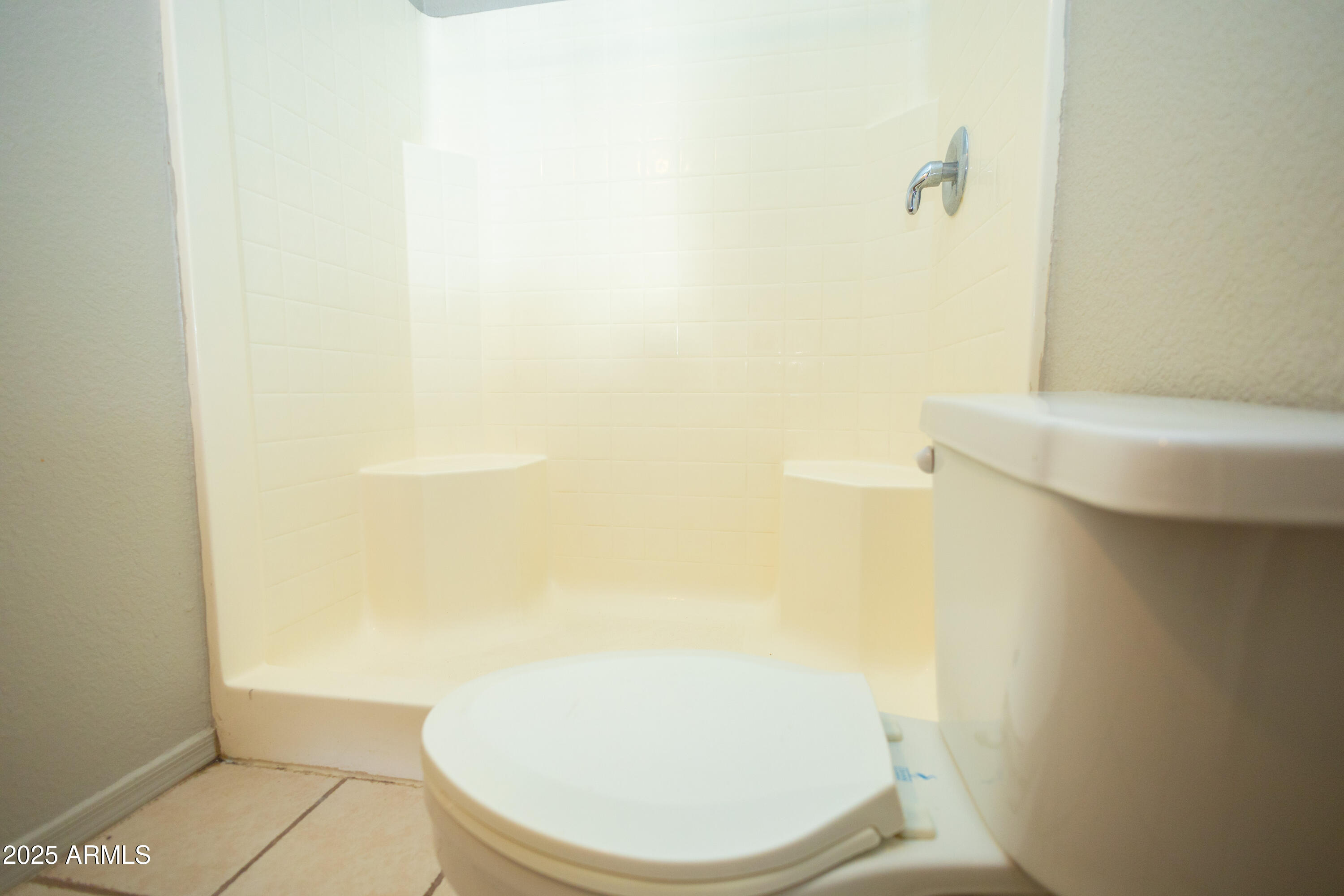 434 North Christine Avenue Douglas, AZ 85607 - Photo 19 of 39 a bathroom with a toilet and a rug