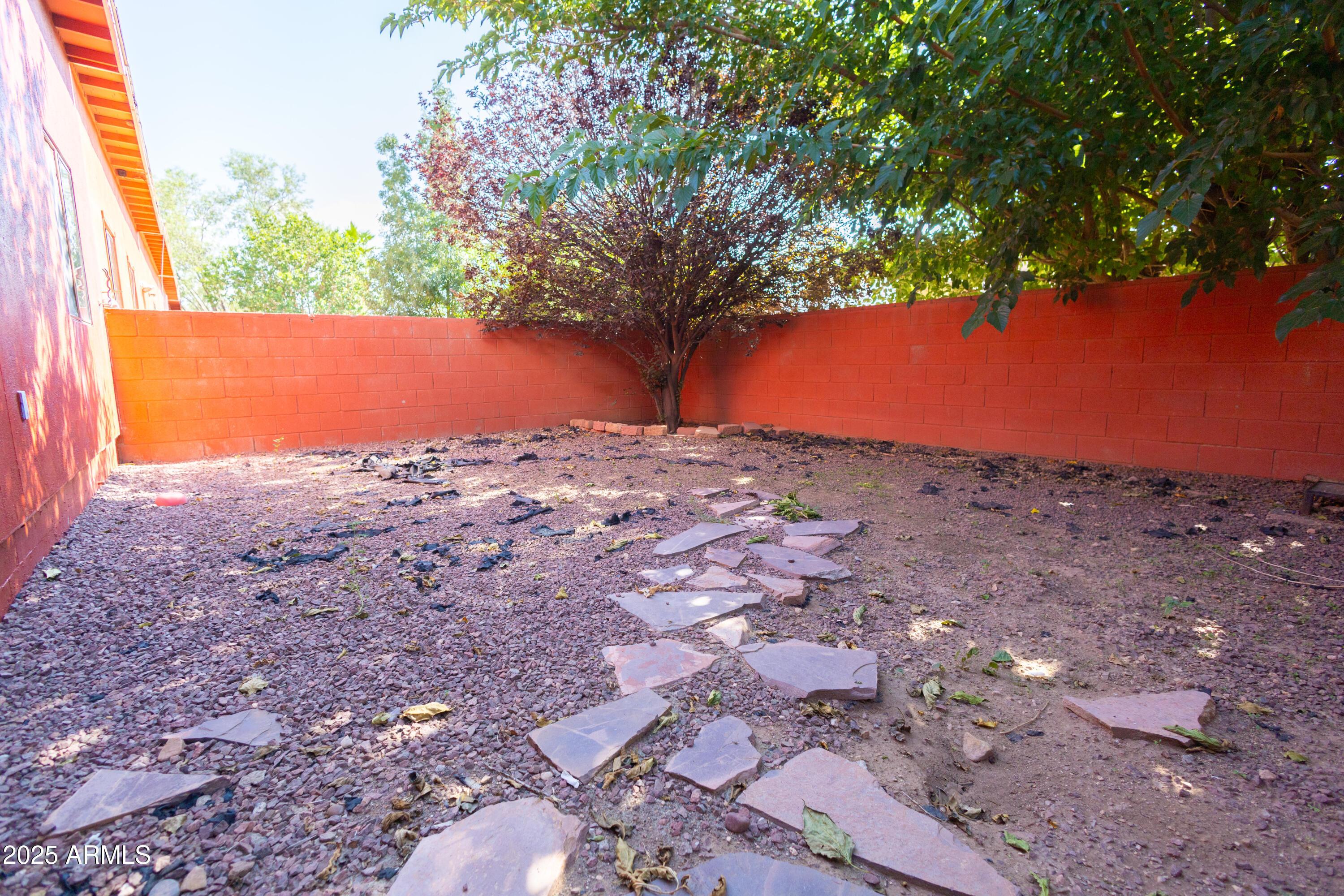434 North Christine Avenue Douglas, AZ 85607 - Photo 38 of 39 a view of a yard with a large tree