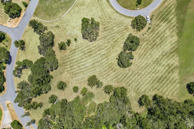 a bathroom with a sink and garden