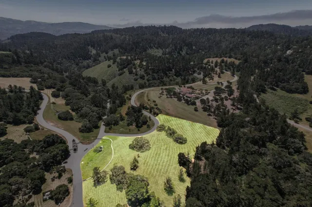 a view of a forest with a mountain and a forest