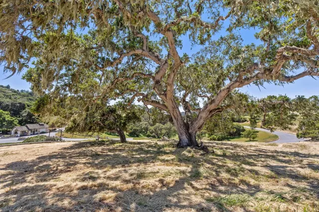 a view of outdoor space with trees