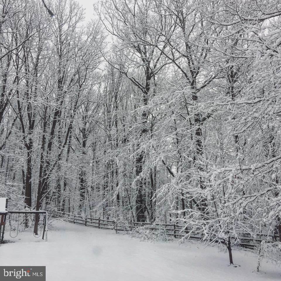 102 Leary Road Honey Brook, PA 19344 - Photo 40 of 40 Backyard Winter 2019