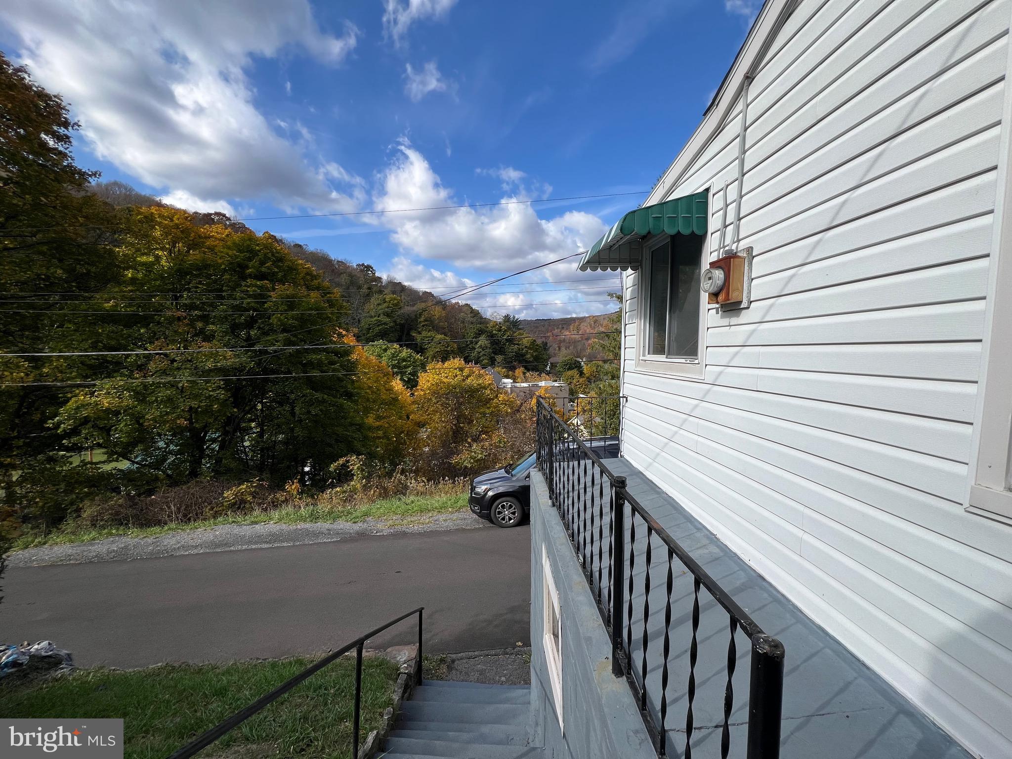 43 High Street Lonaconing, MD 21539 - Photo 4 of 20 SIDE PORCH VIEW