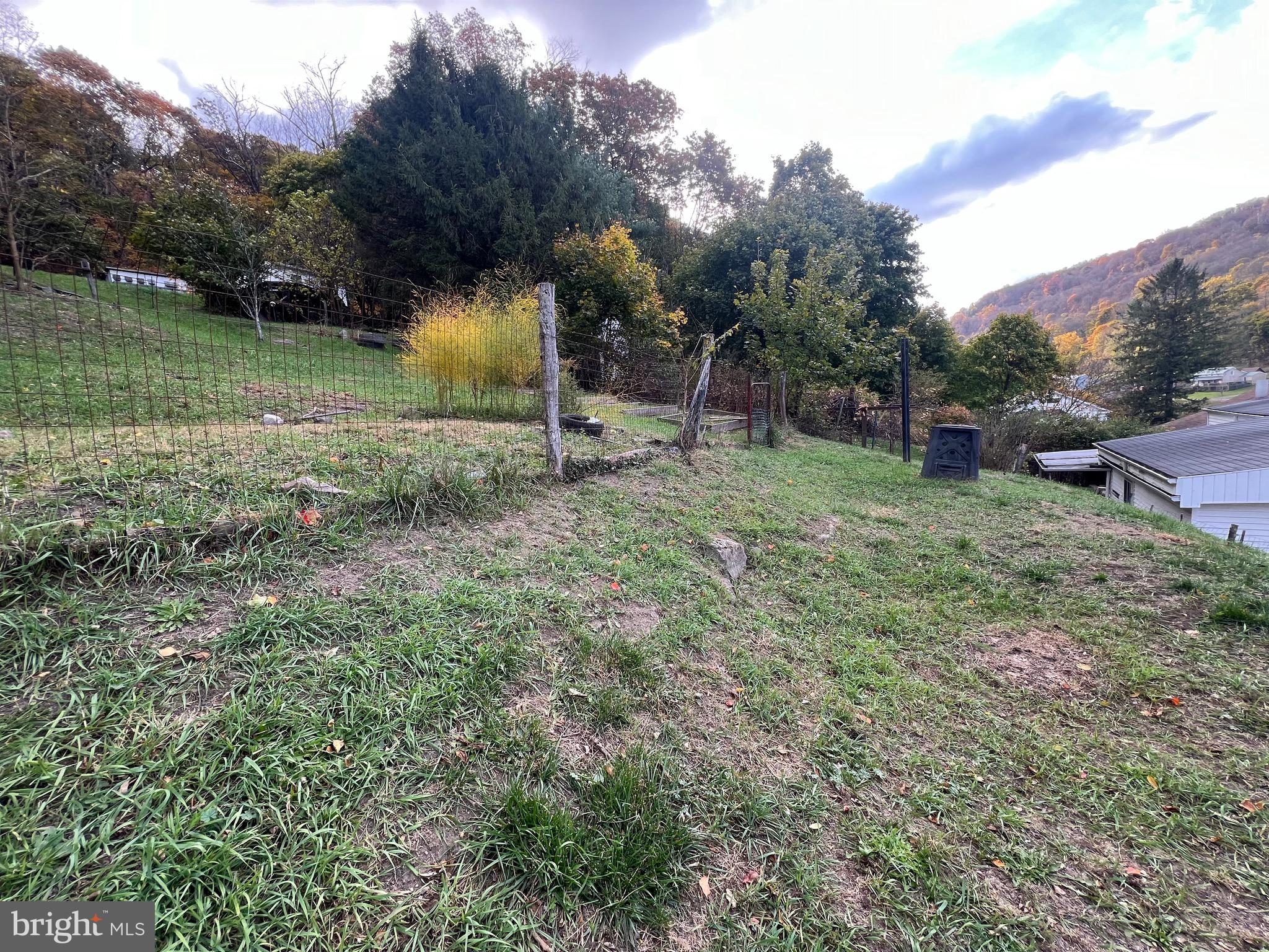 43 High Street Lonaconing, MD 21539 - Photo 6 of 20 BACK YARD