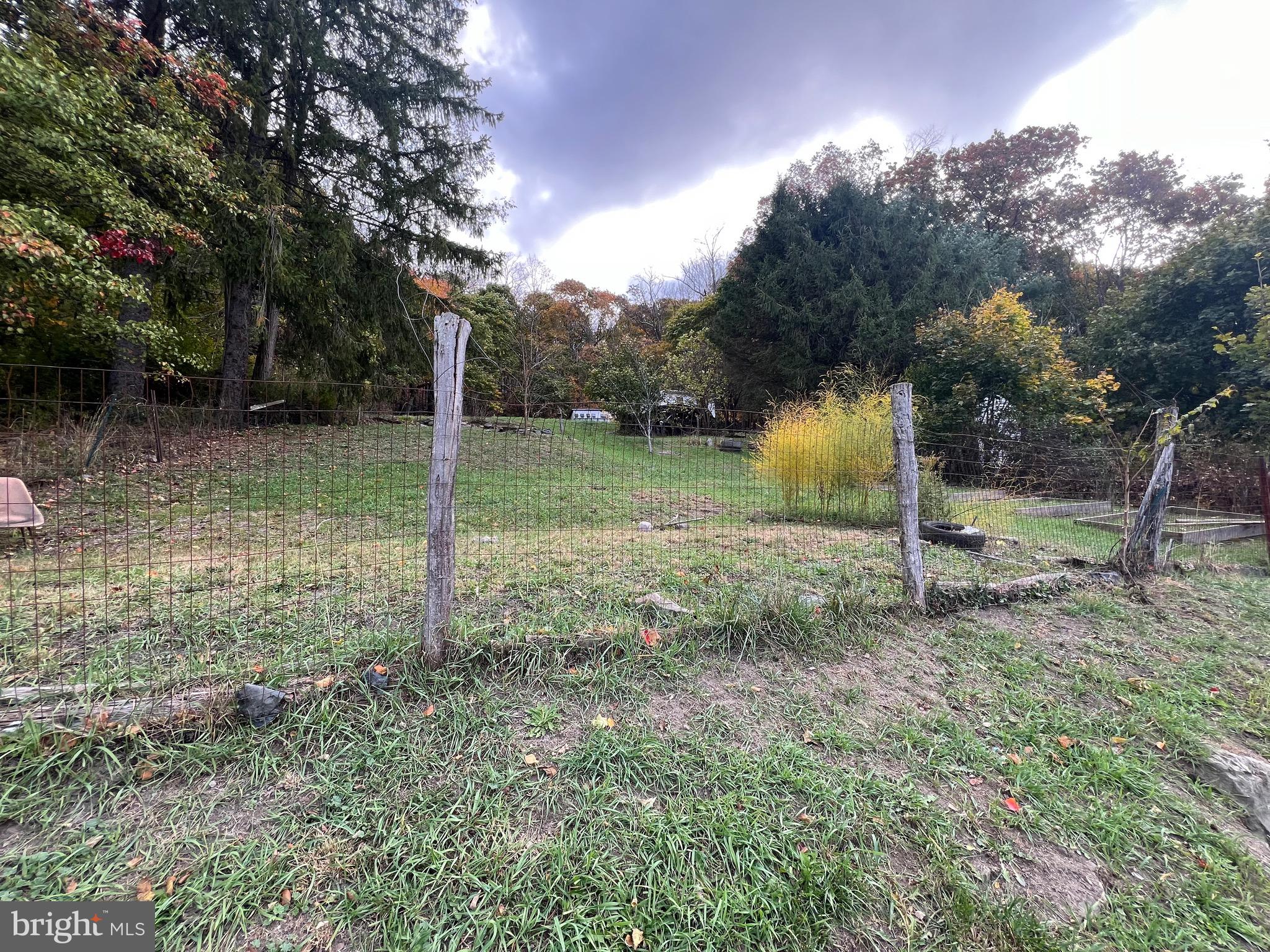 43 High Street Lonaconing, MD 21539 - Photo 7 of 20 BACK YARD