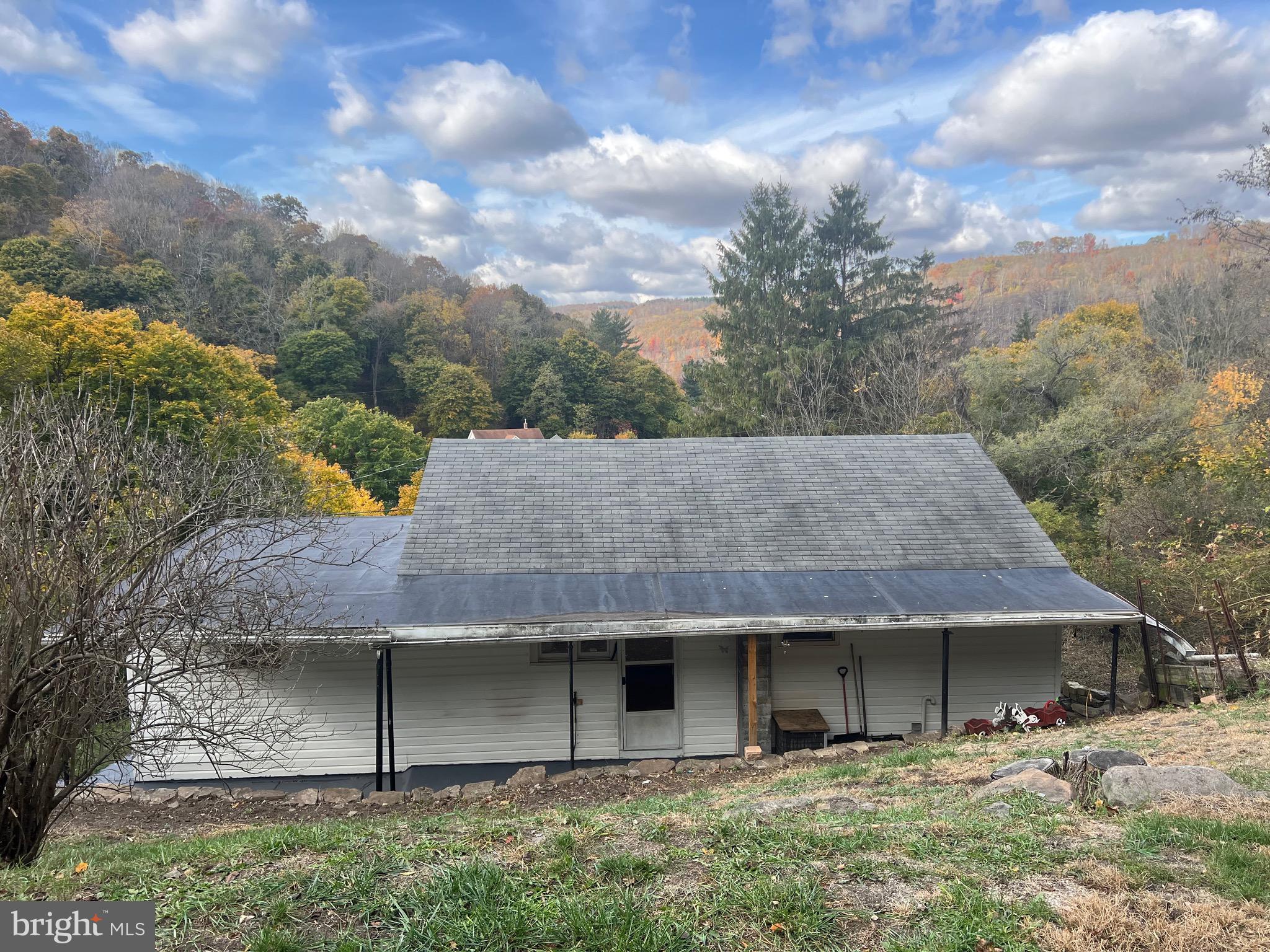 43 High Street Lonaconing, MD 21539 - Photo 8 of 20 BACK YARD VIEW