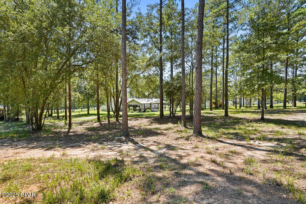 7910 Sneads Landing Road Sneads, FL 32460 - Photo 46 of 51