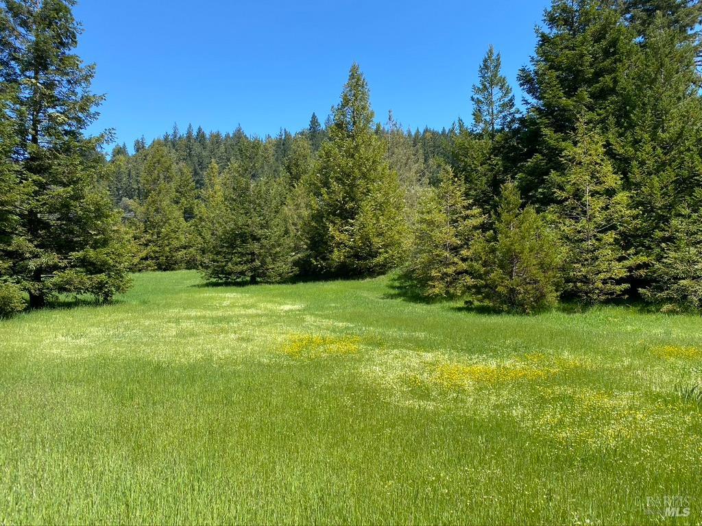 31501 Comptche Ukiah Road Comptche, CA 95427 - Photo 75 of 85