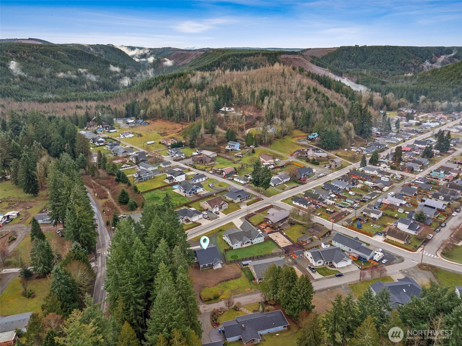 401 Pershing Avenue Carbonado, WA 98323 - Photo 28 of 38 an aerial view of residential houses with outdoor space and trees