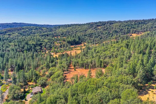 a view of a yard with plants and trees