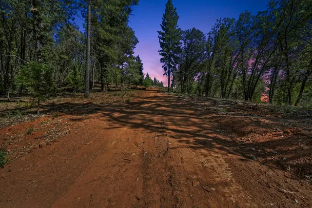 a view of a yard with a tree
