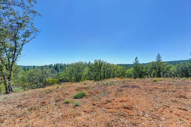 a view of a dry yard with trees in the background