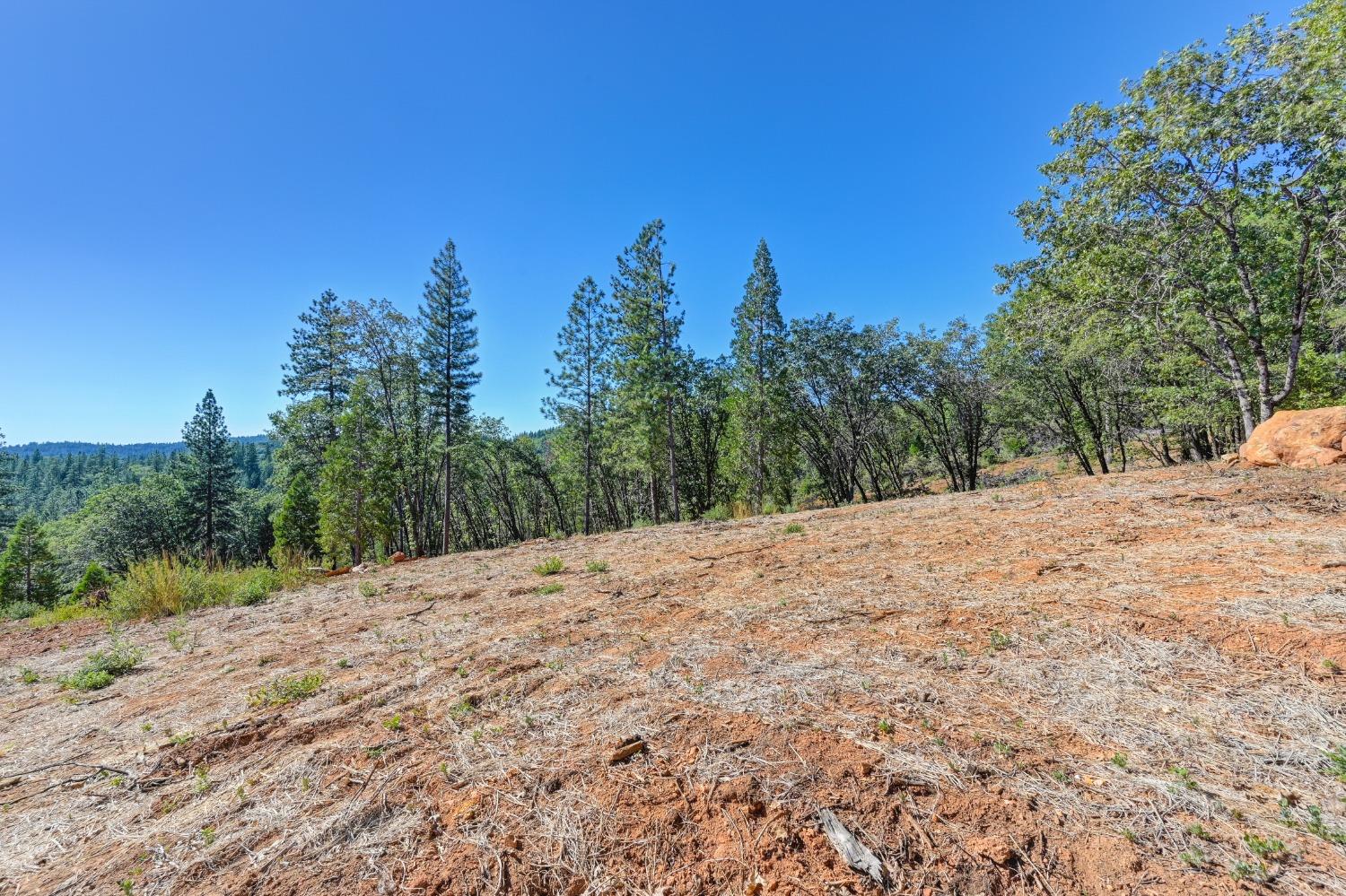 15722 Lower Colfax Road Grass Valley, CA 95945 - Photo 19 of 24 a view of a dry yard with trees in the background
