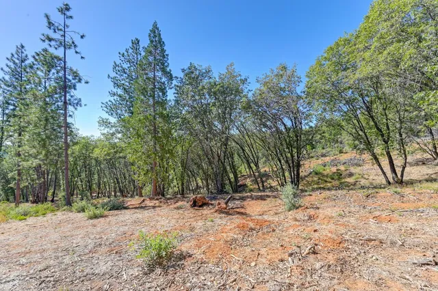 a view of basketball court