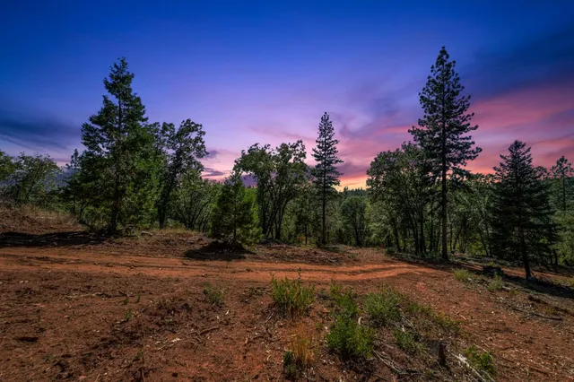 a view of outdoor space with trees