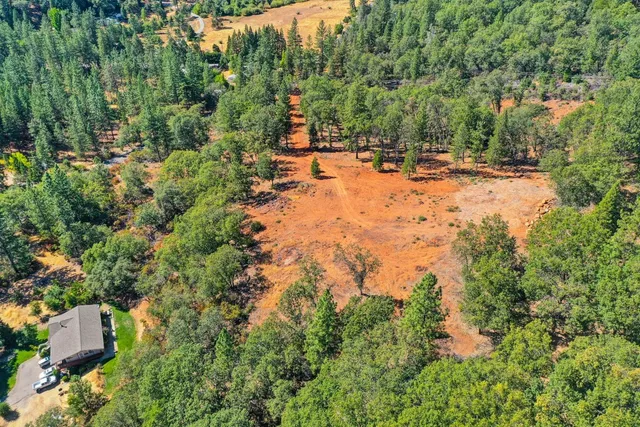 a backyard of a house with a yard and large trees