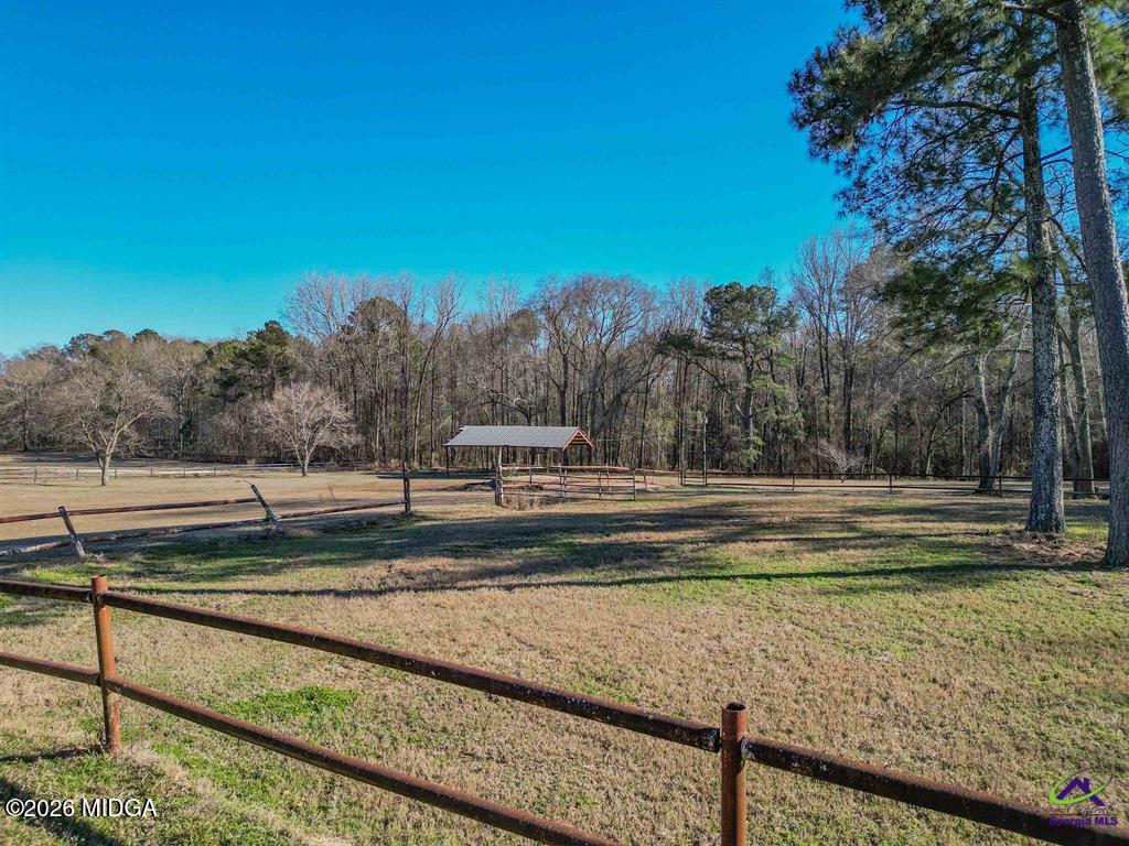 1441 Zenith Mill Road Roberta, GA 31078 - Photo 11 of 80 a view of a yard with large trees