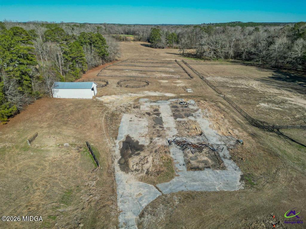 1441 Zenith Mill Road Roberta, GA 31078 - Photo 14 of 80 a view of a dry yard with trees