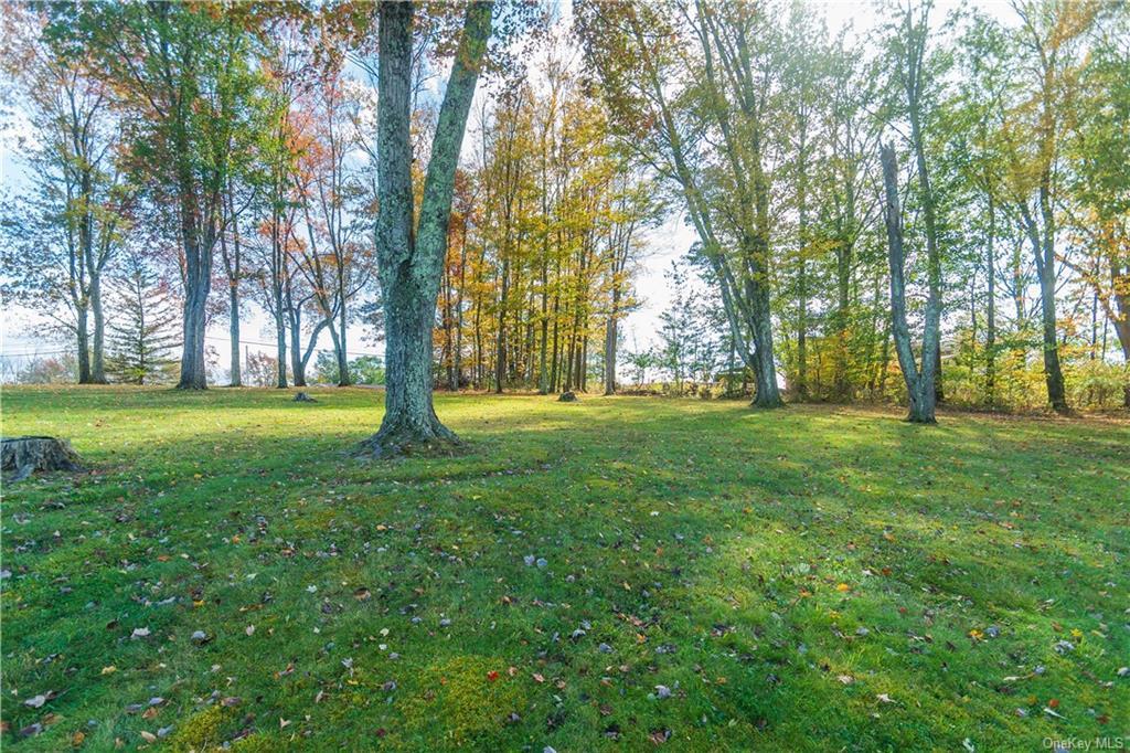 9 Low Road Wallkill, NY 12589 - Photo 4 of 40