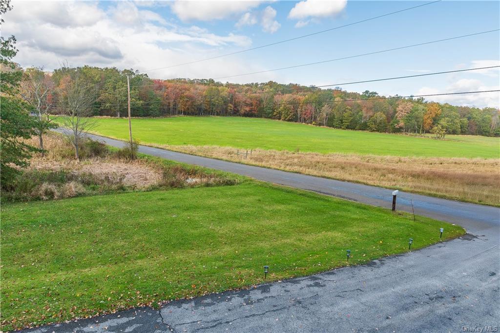 9 Low Road Wallkill, NY 12589 - Photo 7 of 40