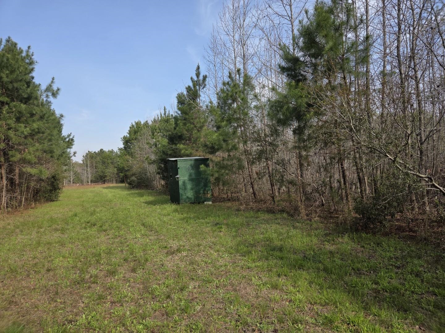 Tbd Hubcap Road Kingstree, SC 29556 - Photo 3 of 5