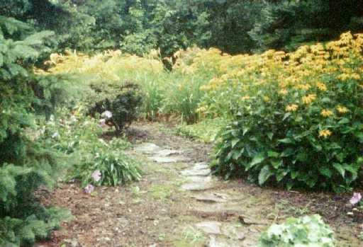 789 Clay Furnace Road Clark, PA 16150 - Photo 3 of 5 Yard/Garden.