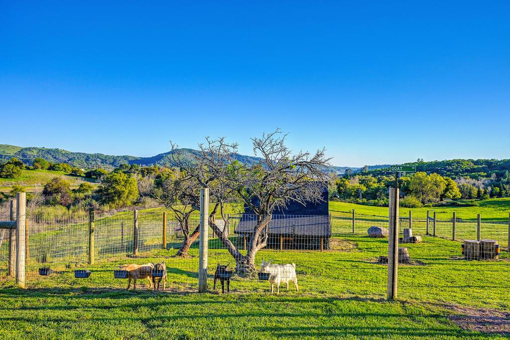 3185 Rattlesnake Road Newcastle, CA 95658 - Photo 83 of 99