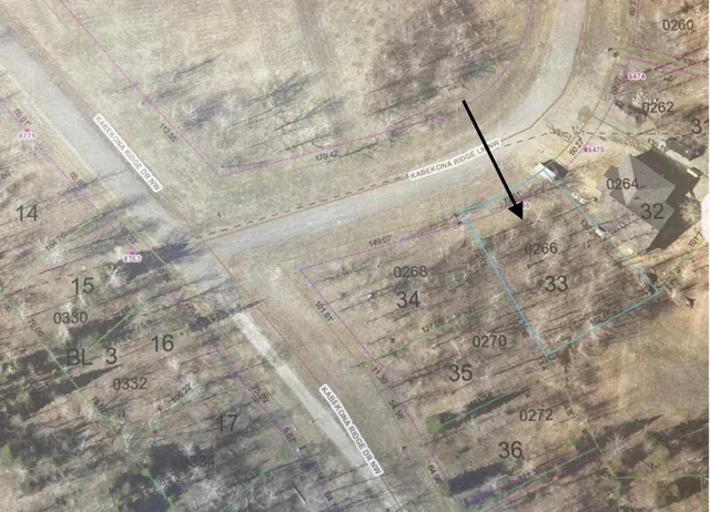 $89,000 | 6466 Kabekona Ridge Drive Northwest, Walker, MN 56484