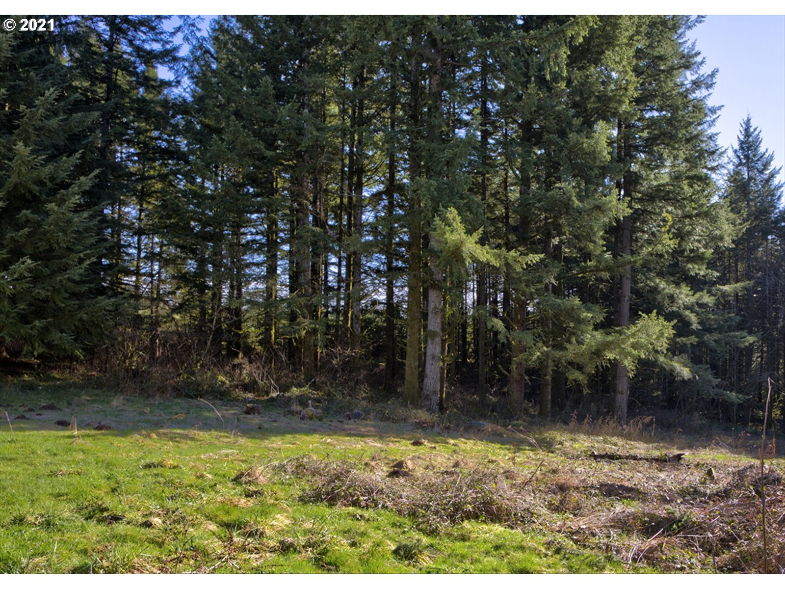 391 Harder Road Washougal, WA 98671 - Photo 19 of 21 Gallery Image 19