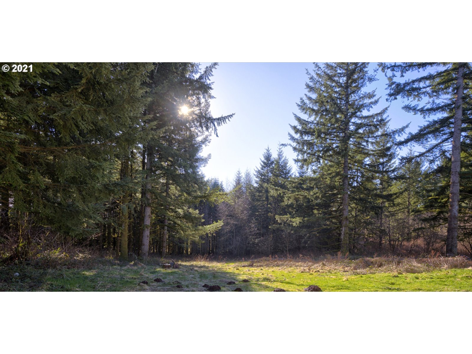 391 Harder Road Washougal, WA 98671 - Photo 20 of 21 Gallery Image 20