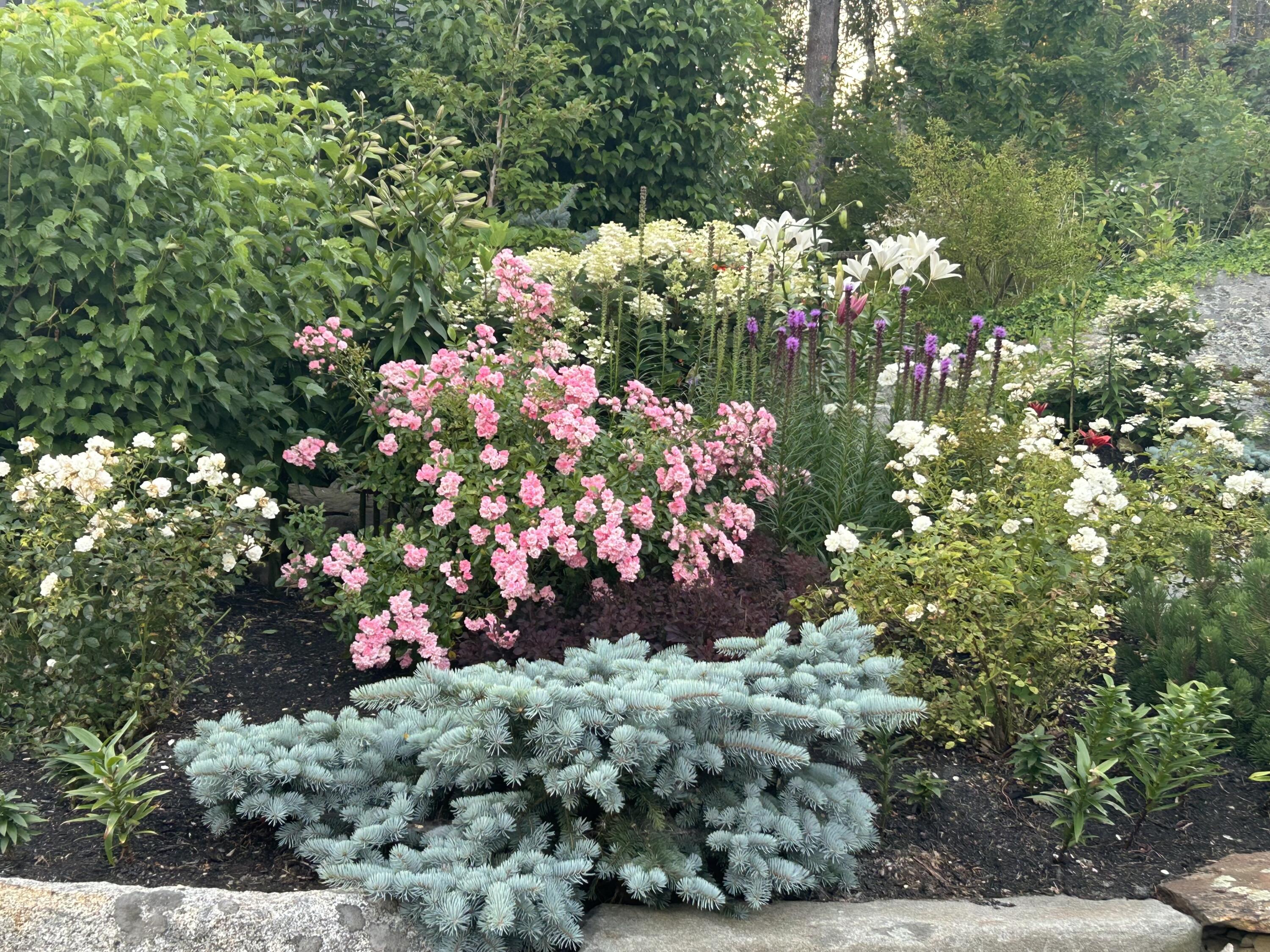 5 Littledog Path South Thomaston, ME 04858 - Photo 63 of 90 Front Entrance Perennials