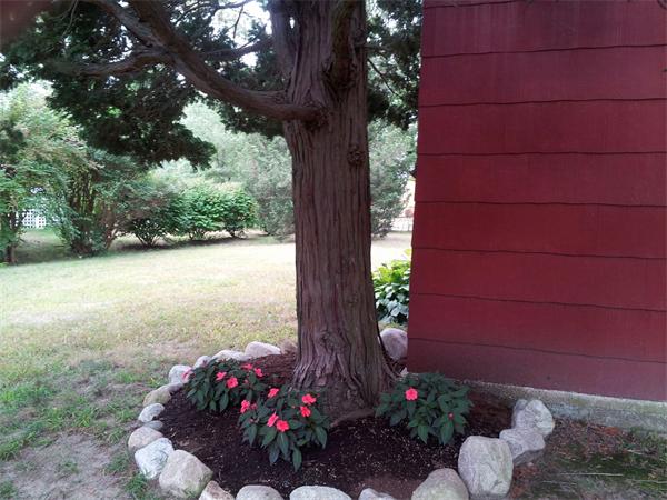 479 Main Street Hanson, MA 02341 - Photo 7 of 20 a picture of plants and trees
