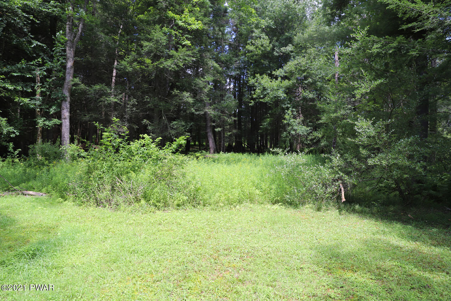 313 Steiner Road Damascus, PA 18415 - Photo 24 of 26 IMG_1787