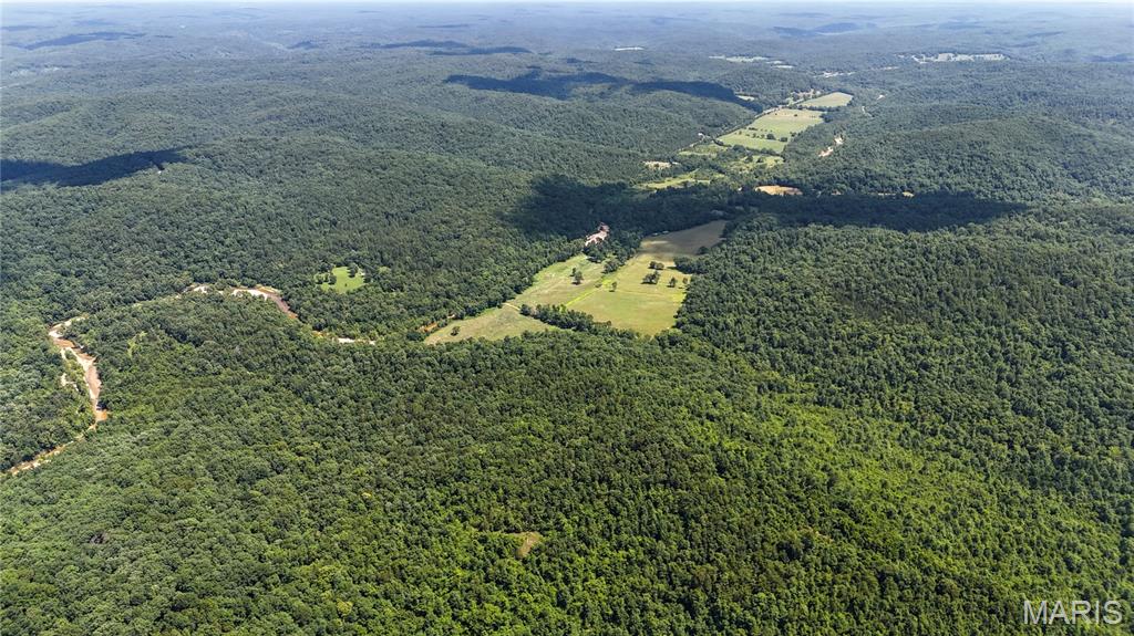 Tbd Tbd Antler Ridge Bunker, MO 63629 - Photo 5 of 26