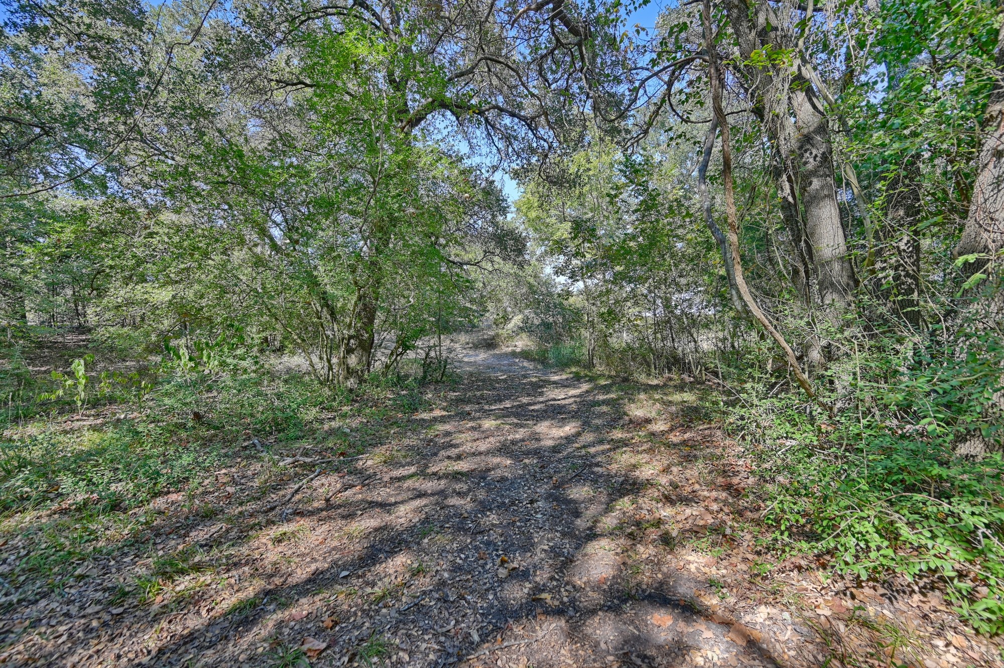 Tbd Ullrich Road Carmine, TX 78932 - Photo 7 of 24 This photo showcases a scenic woodland path surrounded by lush trees and greenery, providing a peaceful and natural setting ideal for nature lovers.