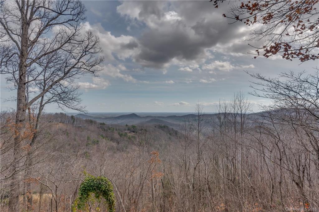 2455 Hogback Mountain Road Tryon, NC 28782 - Photo 2 of 24