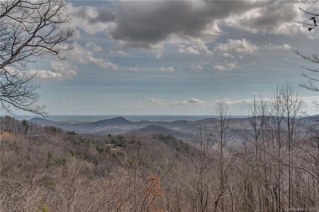 2455 Hogback Mountain Road Tryon, NC 28782 - Photo 22 of 24