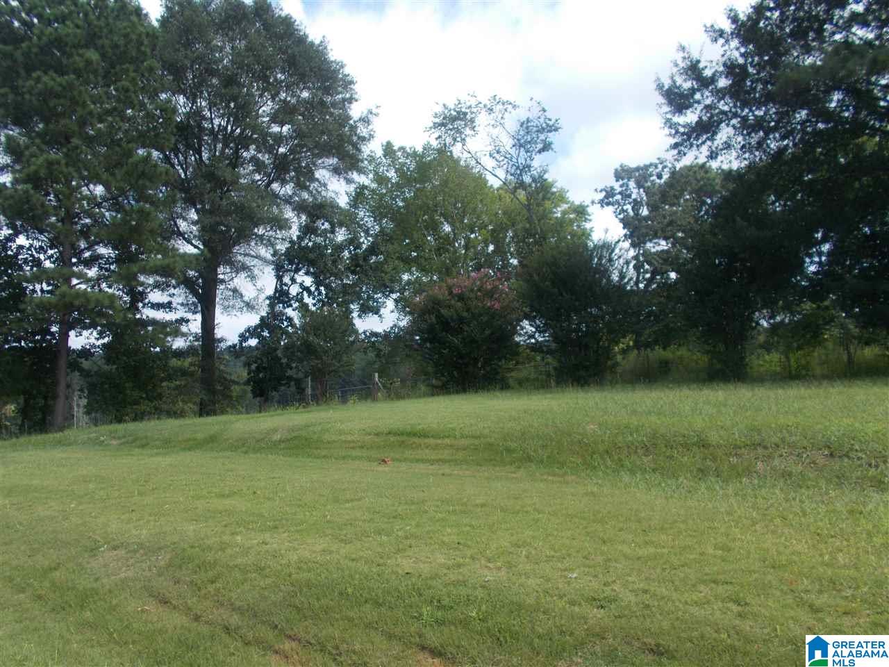 849 Fish Hatchery Road Eastaboga, AL 36260 - Photo 7 of 45