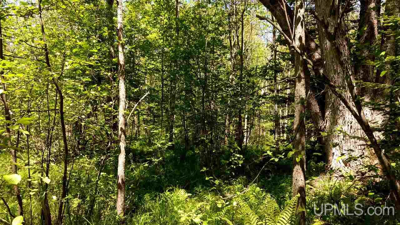 Tbd Tower Road Baraga, MI 49908 - Photo 6 of 12 Gallery Image 6