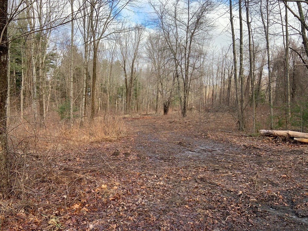 199 Mendon Road Sutton, MA 01590 - Photo 3 of 7