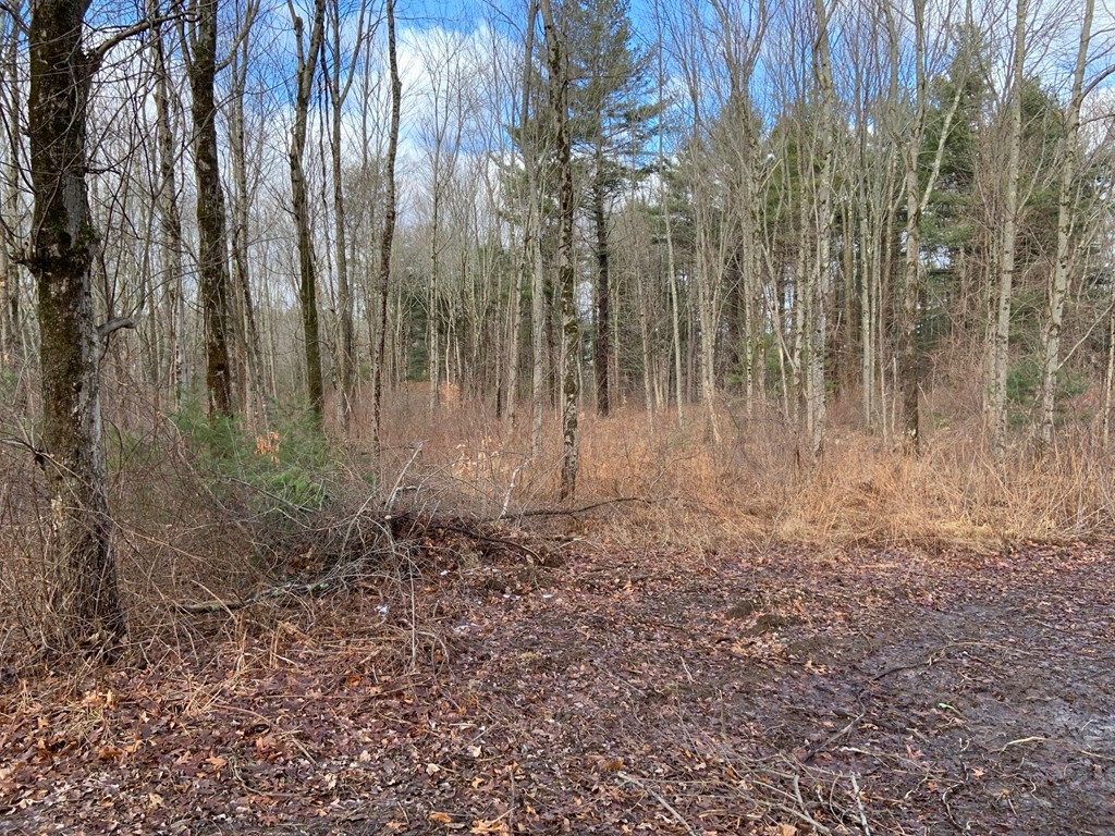 199 Mendon Road Sutton, MA 01590 - Photo 4 of 7