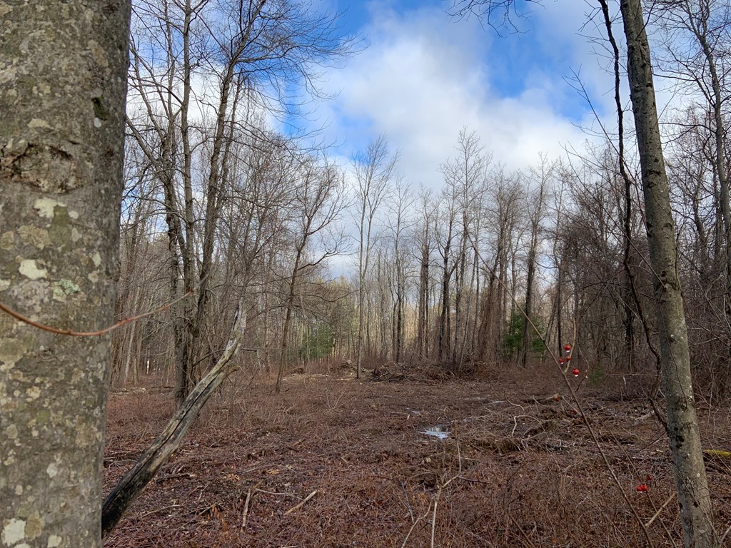 199 Mendon Road Sutton, MA 01590 - Photo 5 of 7