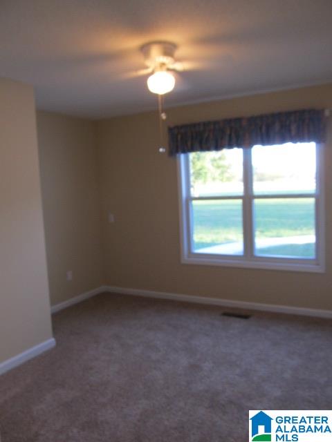 2011 Highway 168 Boaz, AL 35957 - Photo 10 of 37