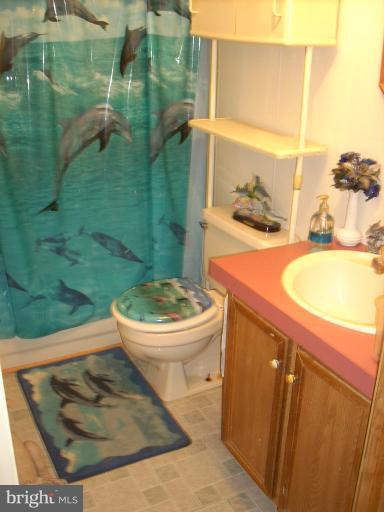 981 Dr Jack Road Conowingo, MD 21918 - Photo 9 of 14 Bath