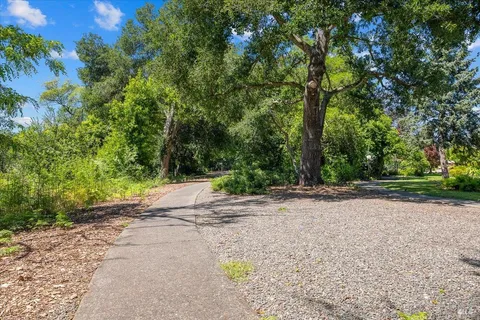 a view of a yard with a tree