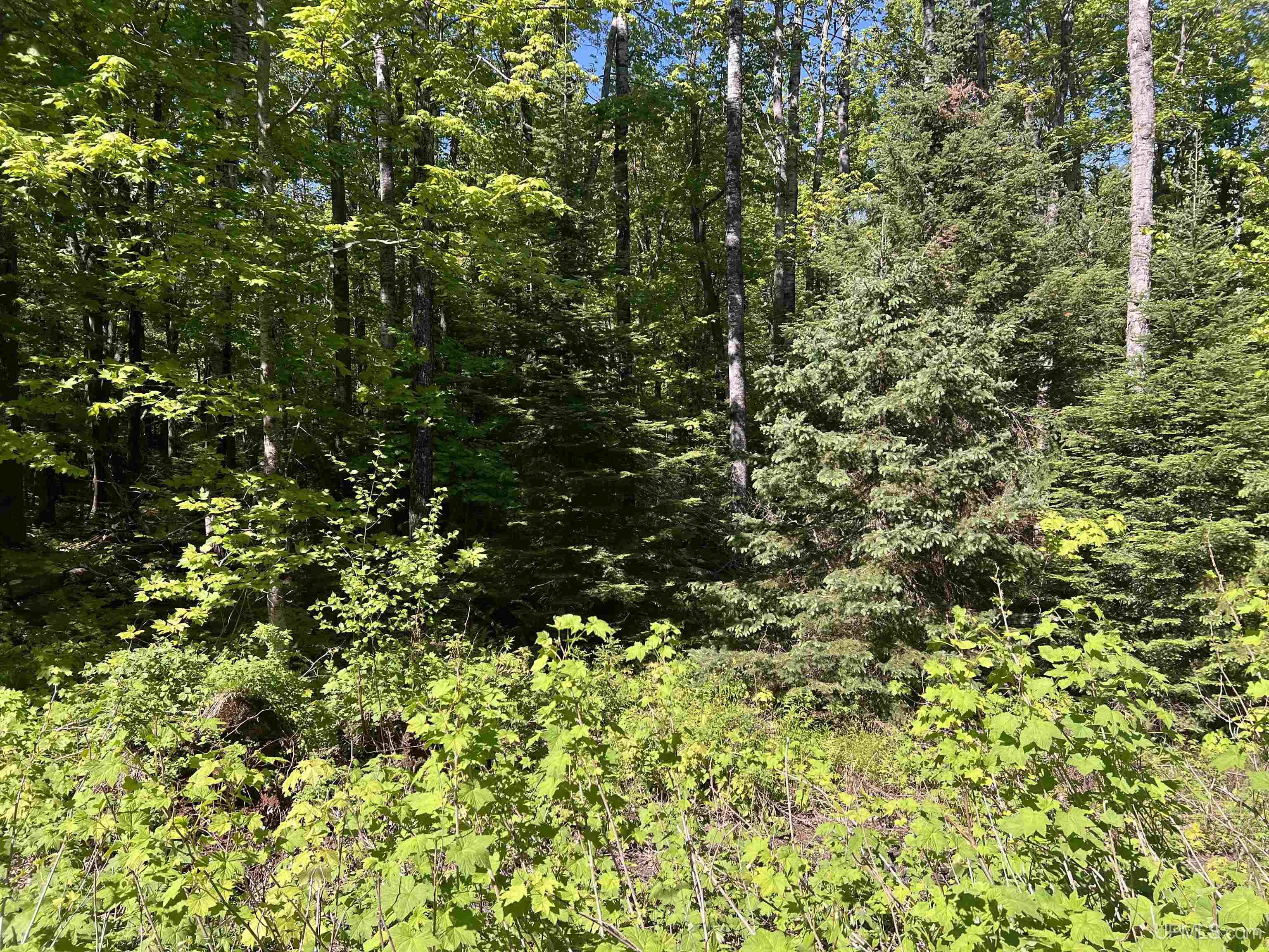510 County Road 510 Road, Unit LOT 5 Negaunee, MI 49866 - Photo 2 of 6
